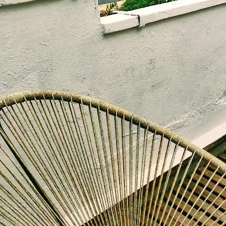 L'oliveraie - La Cité Plein Les Yeux *