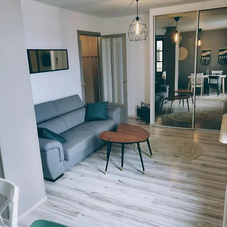 L'oliveraie - La Cité Plein Les Yeux