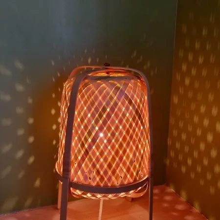 L'oliveraie - La Cité Plein Les Yeux