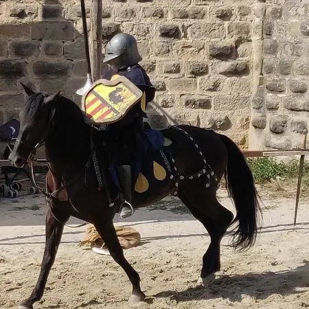 L'oliveraie - La Cite Plein Les Yeux *