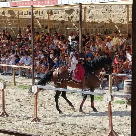 L'oliveraie - La Cite Plein Les Yeux