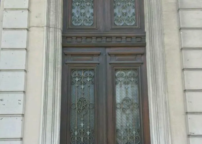 L'oliveraie - La Cite Plein Les Yeux *