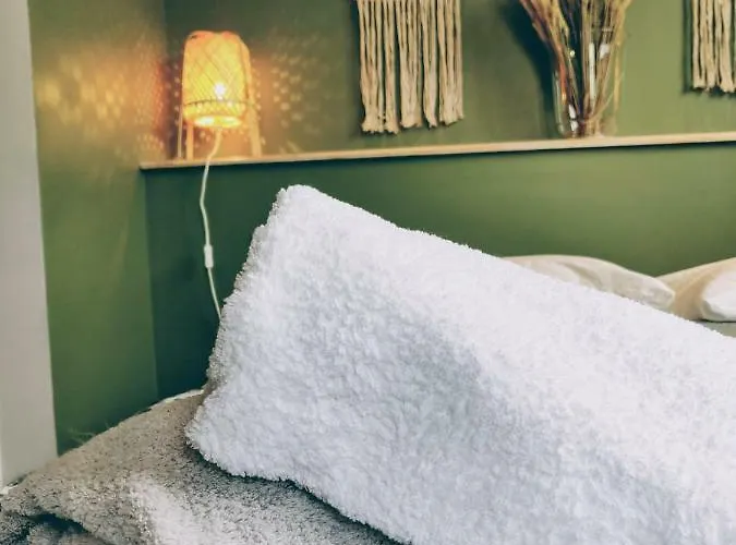 L'oliveraie - La Cite Plein Les Yeux * Carcassonne