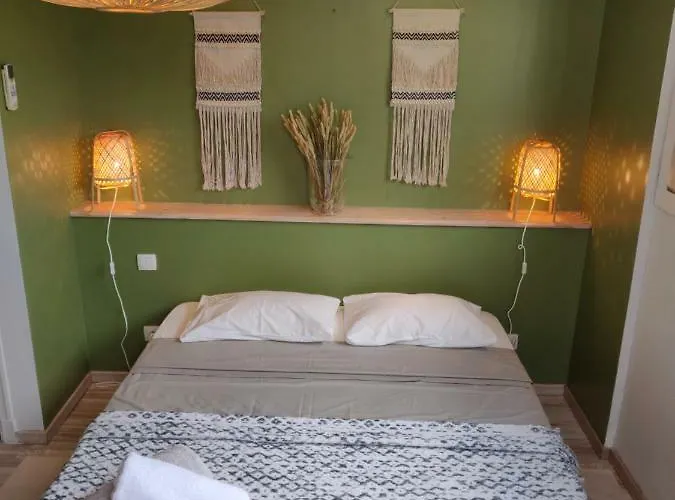 L'oliveraie - La Cite Plein Les Yeux * Carcassonne