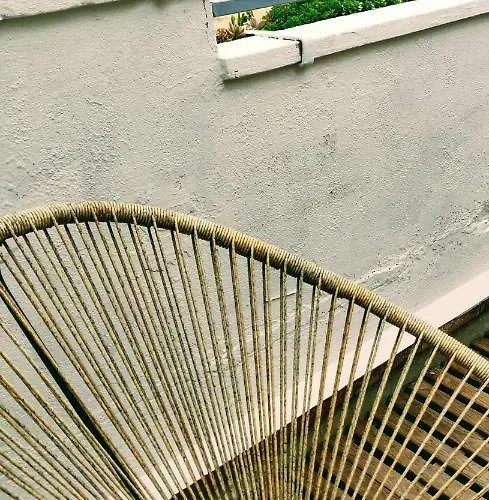 L'oliveraie - La Cite Plein Les Yeux *