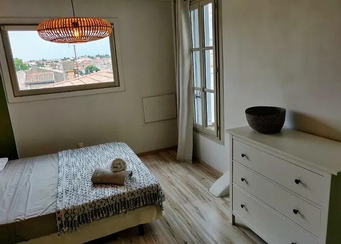 L'oliveraie - La Cite Plein Les Yeux Carcassonne