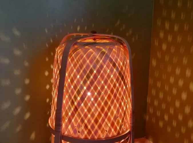 L'oliveraie - La Cite Plein Les Yeux