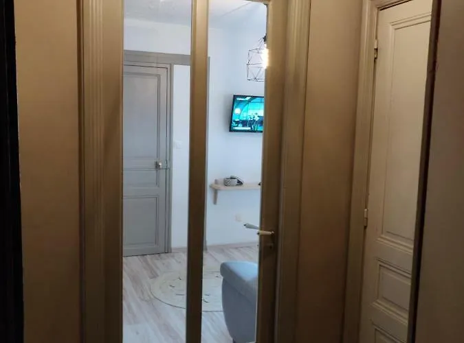 L'oliveraie - La Cite Plein Les Yeux *