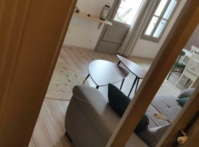 L'oliveraie - La Cite Plein Les Yeux Apartment Carcassonne