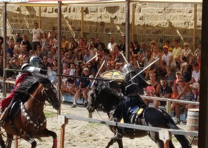 L'oliveraie - La Cite Plein Les Yeux