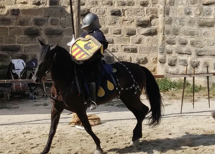 L'oliveraie - La Cite Plein Les Yeux *