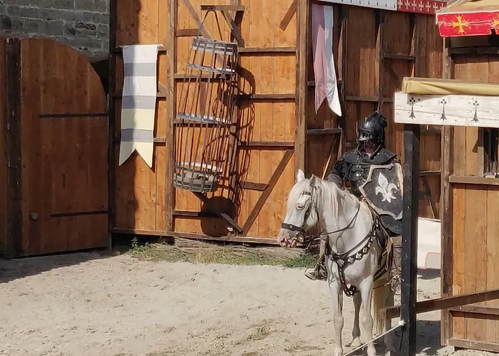 Apartment L'oliveraie - La Cite Plein Les Yeux *