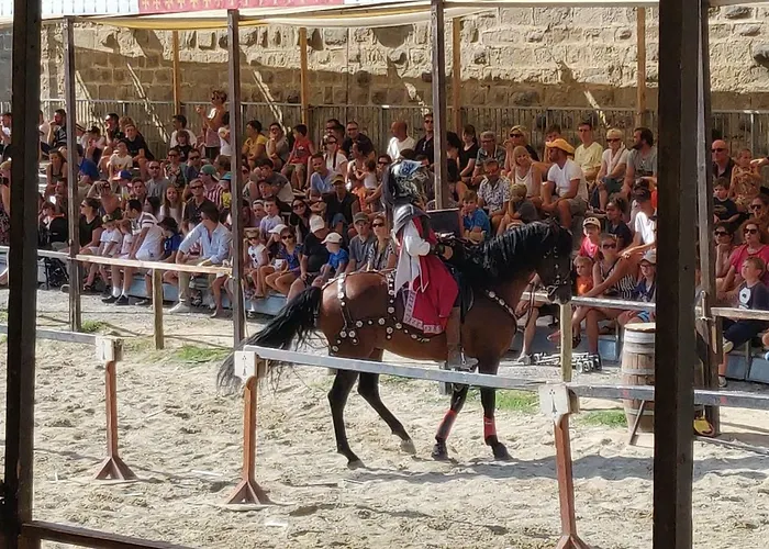 L'oliveraie - La Cite Plein Les Yeux